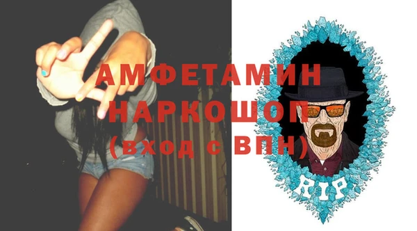 сатива Балахна