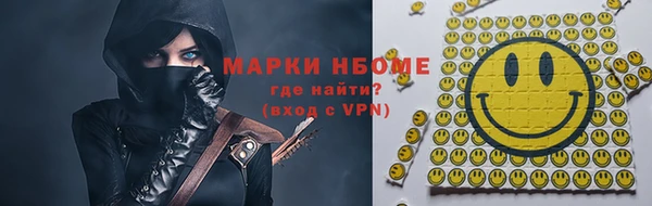 сатива Балахна