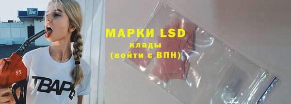 сатива Балахна