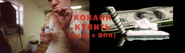 сатива Балахна