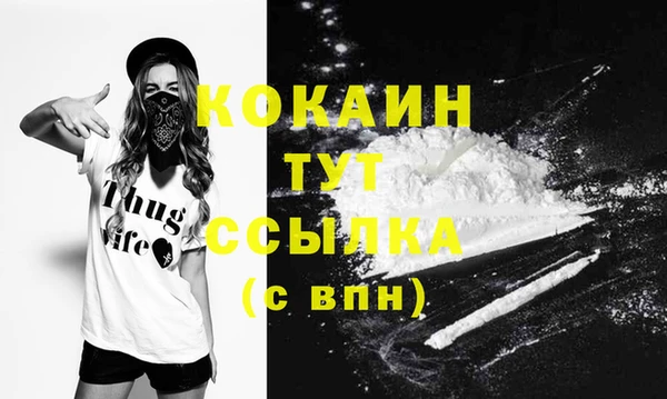 сатива Балахна